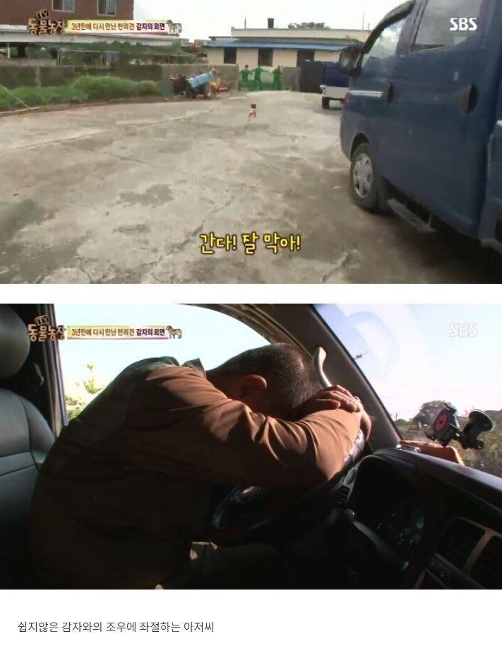 잃어버린 개를 3년만에 찾은 아저씨 | 인스티즈