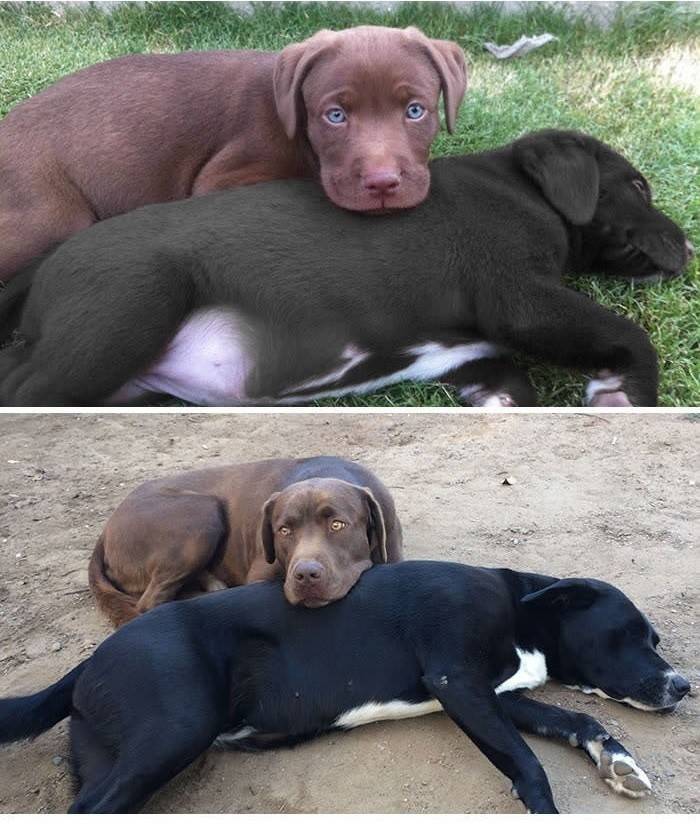 이렇게 변했냥? | 인스티즈