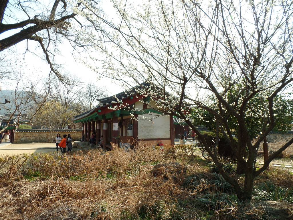 여행가들 사이에서 가장 호불호 갈리는 국내도시같음 | 인스티즈