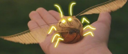 퀴디치 의 시작 | 인스티즈