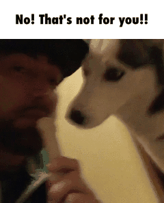 먹지마!!! 먹지말라고!! | 인스티즈