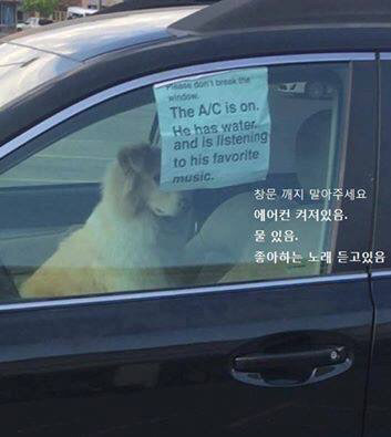 창문 깨지 마세요 | 인스티즈