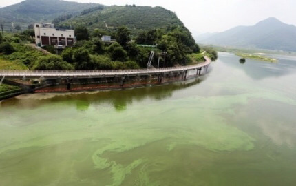 [고르기] 문재인 대통령님께 가장 바라는 것은? | 인스티즈
