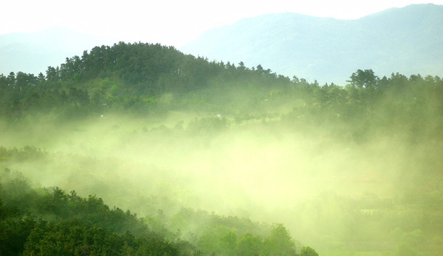 역대급 최악의 날씨인 이유 | 인스티즈