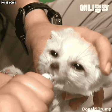 귀욤 넘치는 동물농장 울단이 | 인스티즈