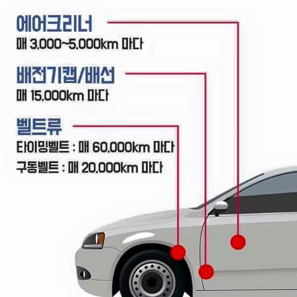 자동차 관리 하는 법 | 인스티즈