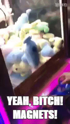 주작에는 주작으로 대응 | 인스티즈