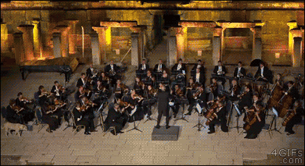 무대에 난입한 개.gif | 인스티즈