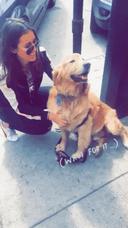 난 말이야 세상에서 인절미가 젤 싫어 | 인스티즈