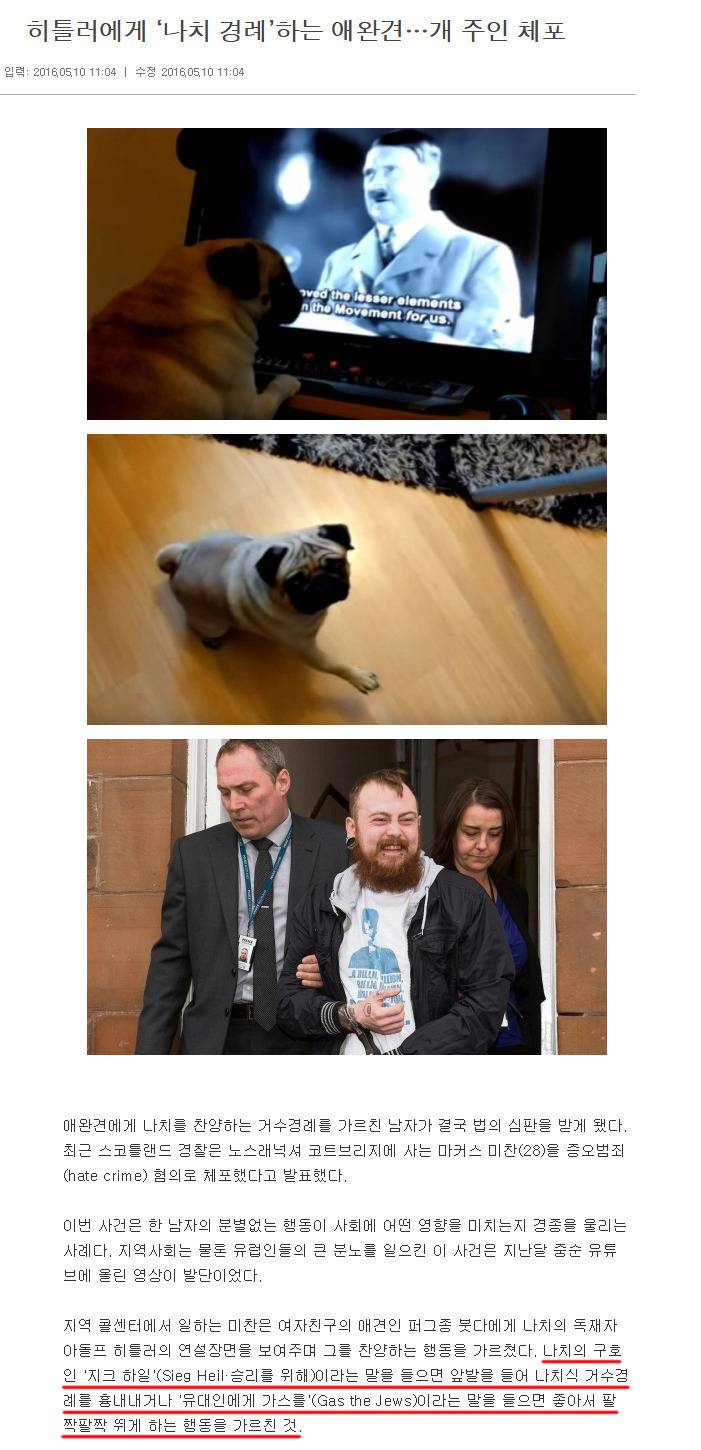 공포의 애견훈련.jpg | 인스티즈