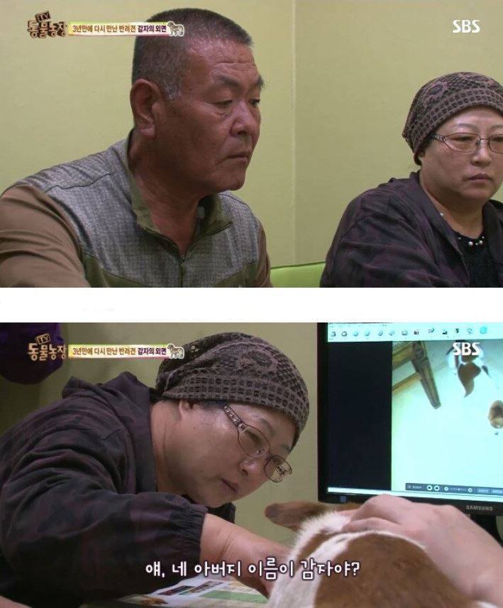 잃어버린 개를 3년만에 찾은 아저씨 | 인스티즈