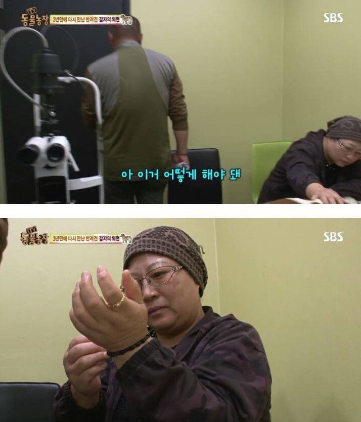 잃어버린 개를 3년만에 찾은 아저씨 | 인스티즈