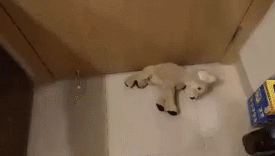 호에에?! | 인스티즈