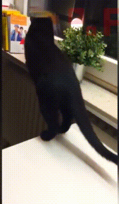 아침엔 역시 | 인스티즈