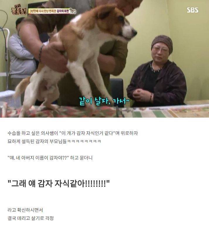 잃어버린 개를 3년만에 찾은 아저씨 | 인스티즈