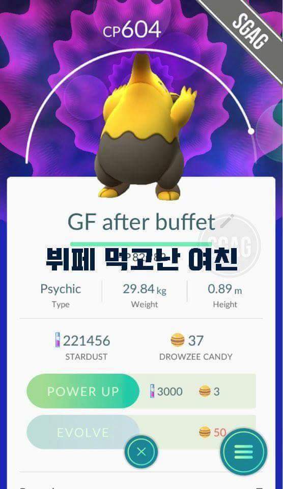 포켓몬은 내 친구 | 인스티즈