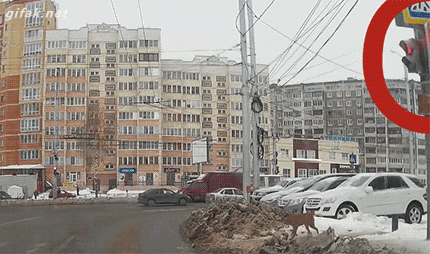 개보다 못함 | 인스티즈