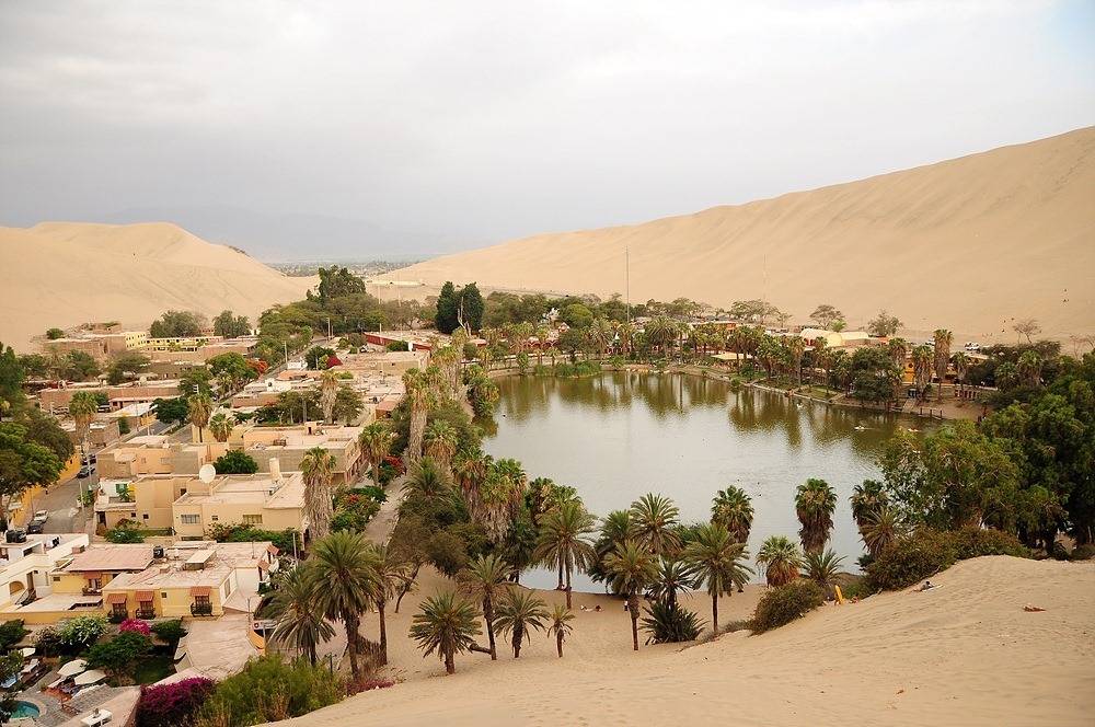 사막 vs 정글 둘중 한곳에서 산다면??? | 인스티즈