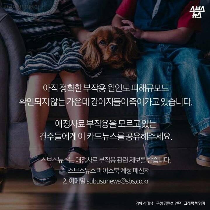 애정이 독이 된 사료 | 인스티즈