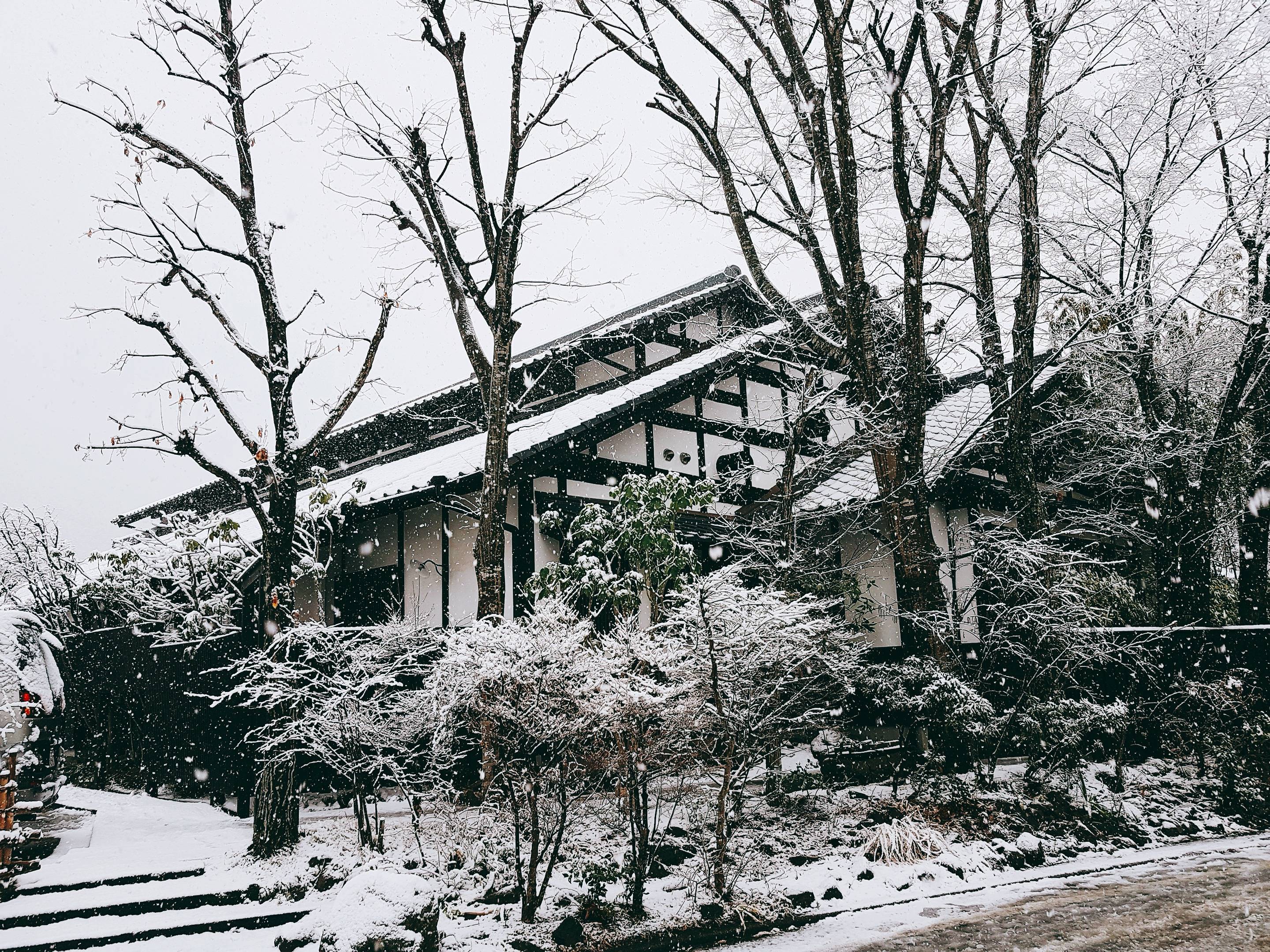 규슈에서 눈이 | 인스티즈