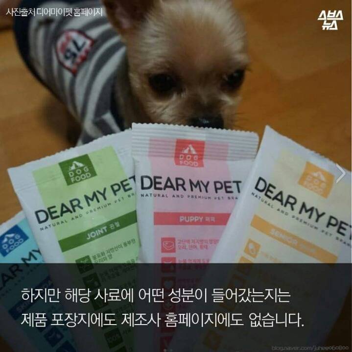 애정이 독이 된 사료 | 인스티즈