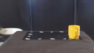 강아지를 키우는 이유 | 인스티즈