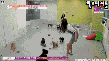 눈치없이 카메라 앞에서 응응하는 강아지들.GIF (15) | 인스티즈