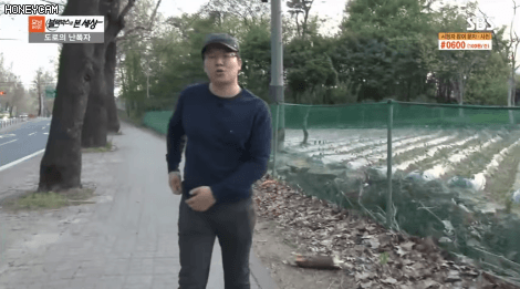 도로의 난폭자 | 인스티즈