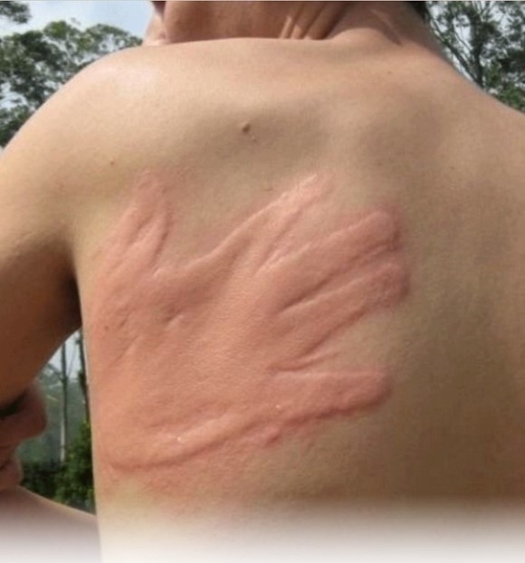 맘스터치 | 인스티즈