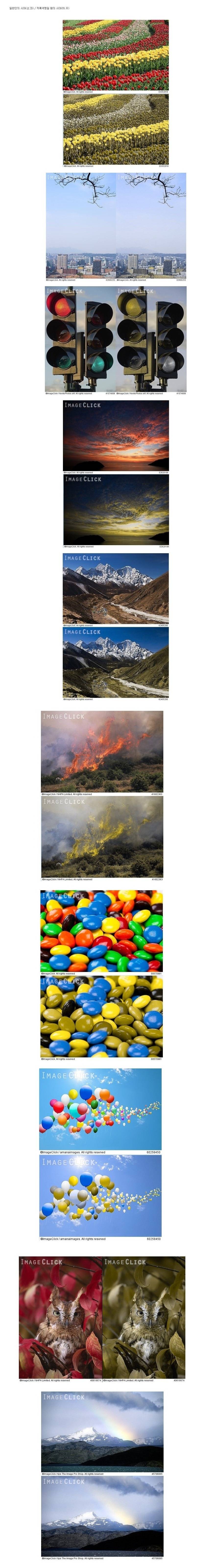 적녹색약이 있는분들은 구분이 안되는사진 | 인스티즈