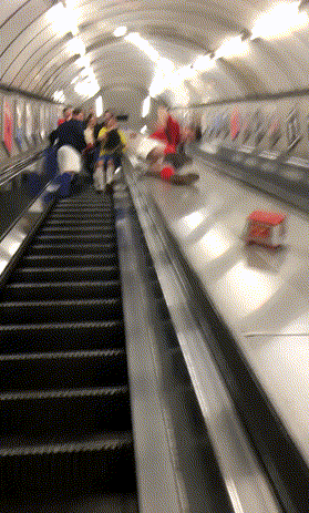 꼭대기부터 1바퀴 성공 시 100만원 vs 그냥 살기 | 인스티즈