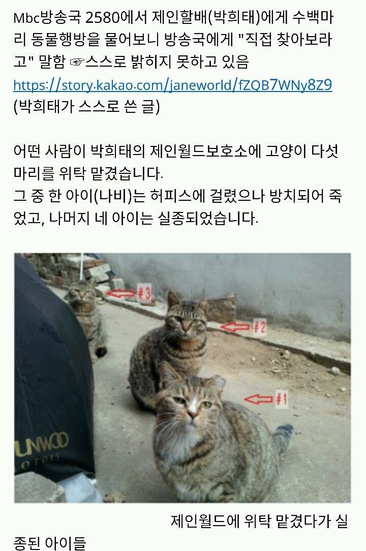 아산에서 또다시 희생당하는 동물이 나타나지않게 서명하자!(사진 끔찍주의) | 인스티즈