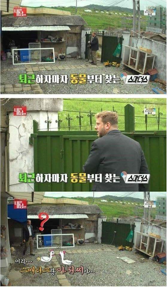 남편이 키운 닭 잡아먹은 아내 | 인스티즈