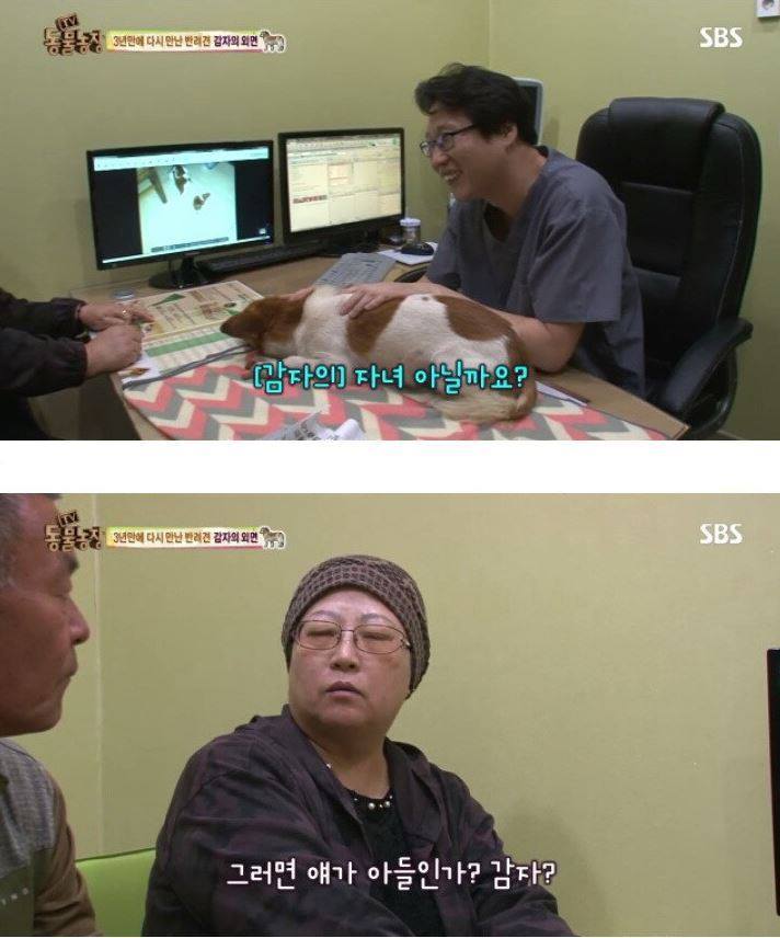 잃어버린 개를 3년만에 찾은 아저씨 | 인스티즈