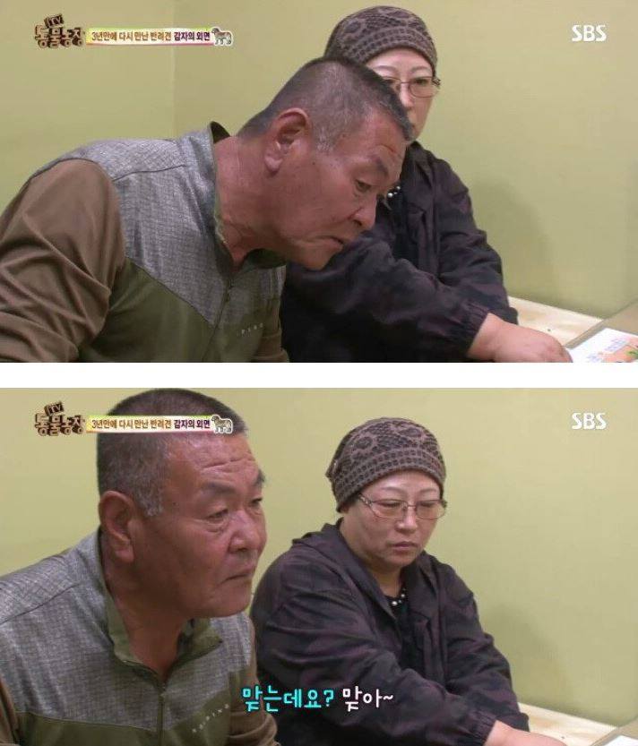 잃어버린 개를 3년만에 찾은 아저씨 | 인스티즈