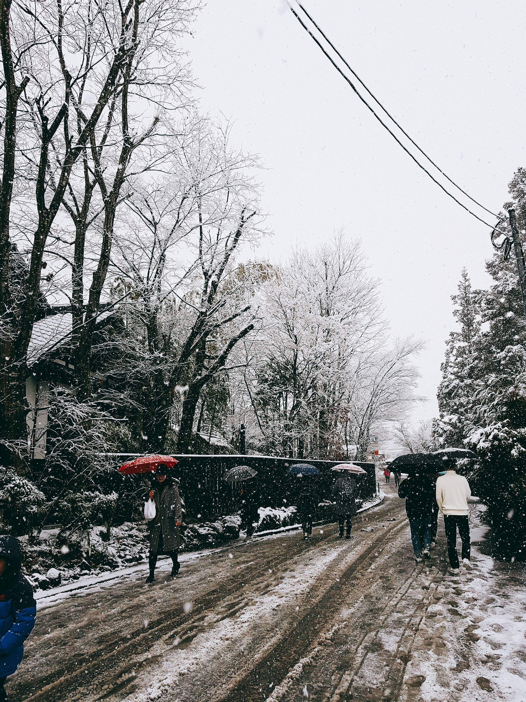 규슈에서 눈이 | 인스티즈