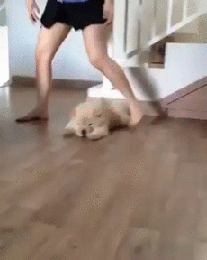 쳐박혀있지말고 좀 밖에 나가서.gif | 인스티즈