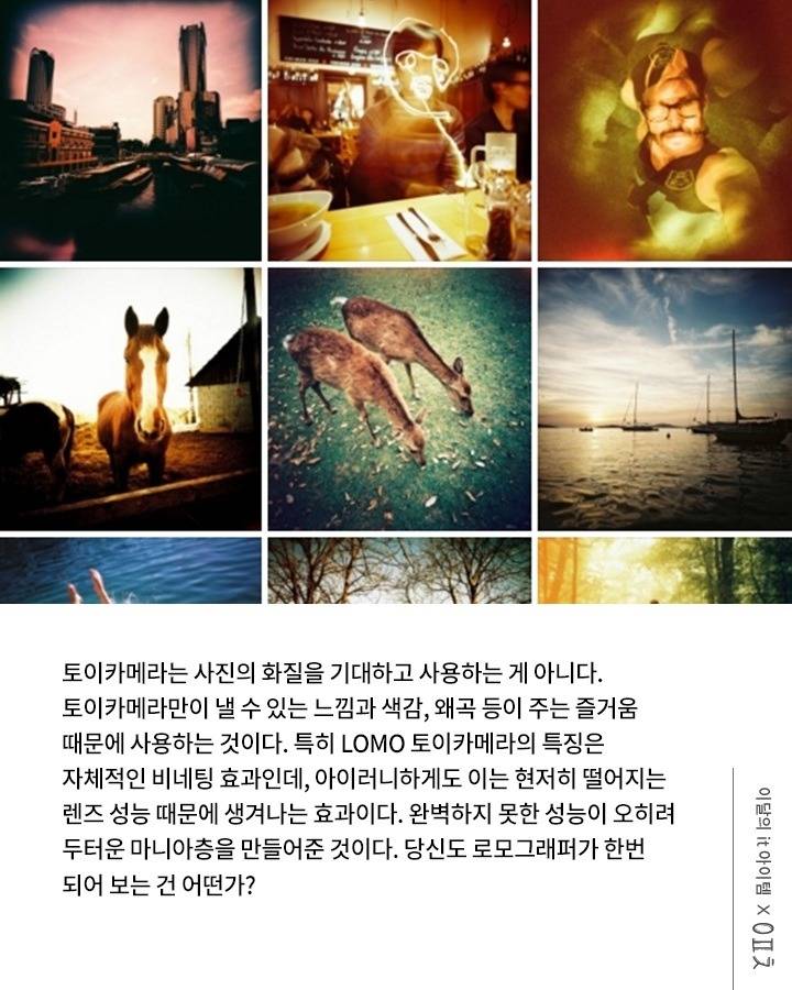 나들이 가고 싶은 당신께 추천하는 카메라 6선 bgm | 인스티즈