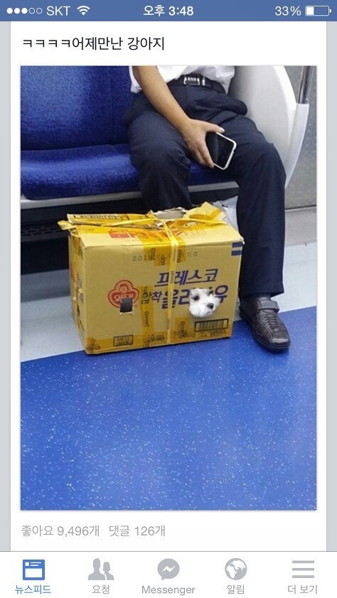 추석 지내러 큰집가는 강아지 . jpg | 인스티즈