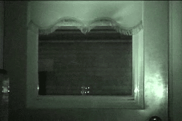 문이 열리네요~ 냥이가 들어오죠~ | 인스티즈