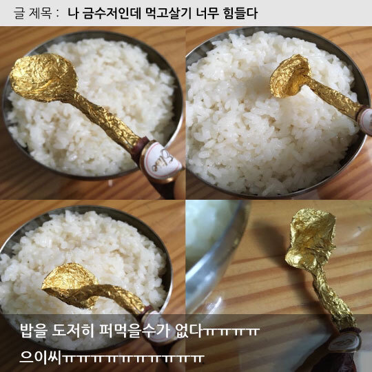 허언갤 베스트 | 인스티즈