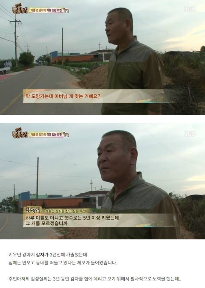 잃어버린 개를 3년만에 찾은 아저씨 | 인스티즈