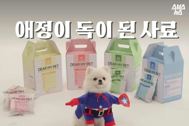 애정이 독이 된 사료 | 인스티즈