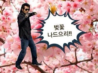 강아지 산책 텍스트 글 | 인스티즈