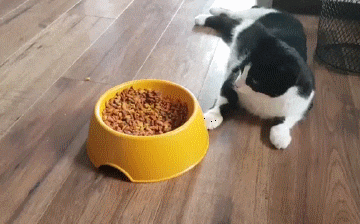 아침엔 역시 | 인스티즈