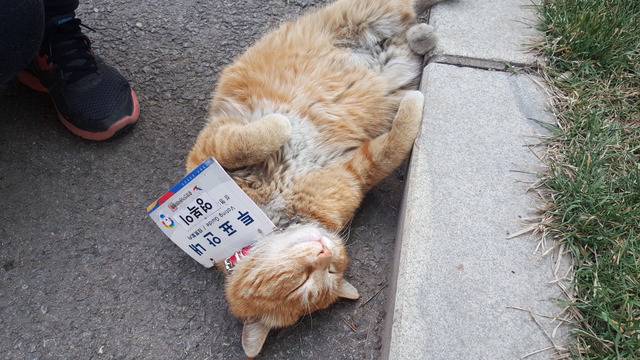 중앙선거관리위원회가 임명한 역대급 투표안내원 | 인스티즈