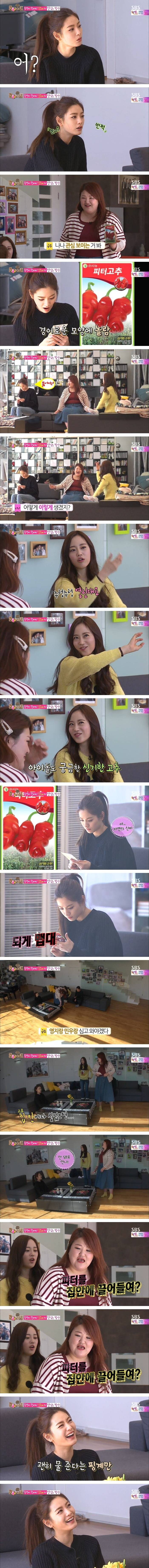 고추 관심 보이는 나나 | 인스티즈