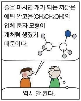 술마시면 개가되는 이유 | 인스티즈