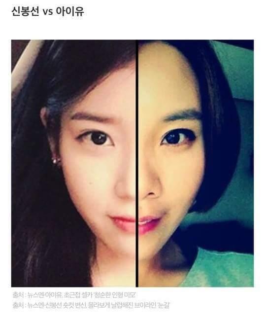 붕어빵 연예인들.. | 인스티즈