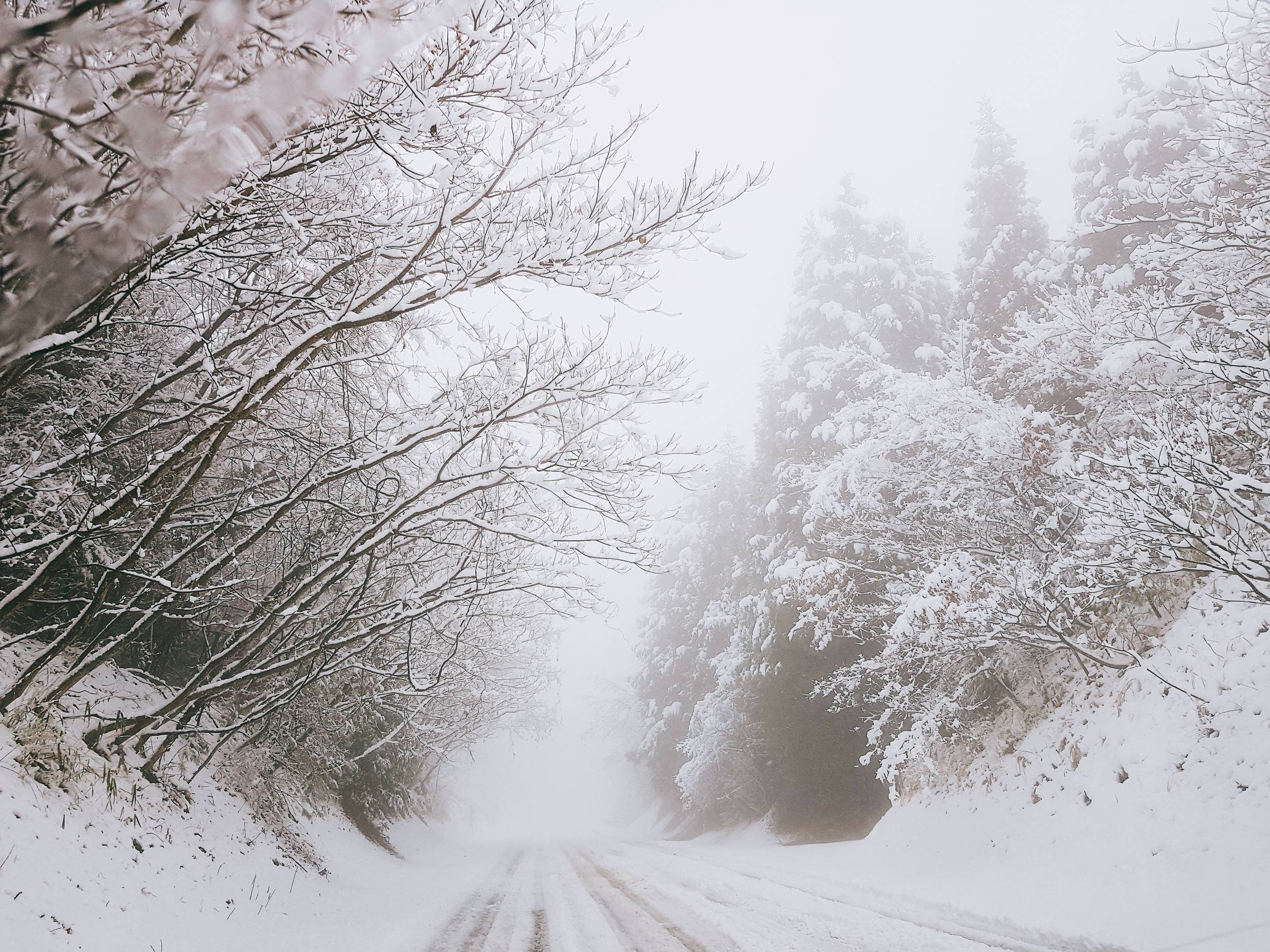 규슈에서 눈이 | 인스티즈